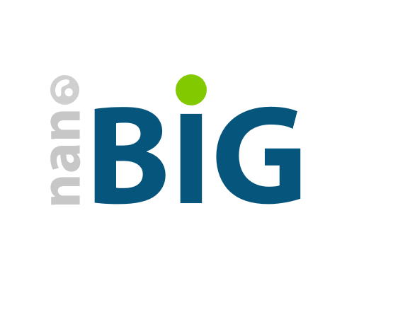 nanoBig research science group logo