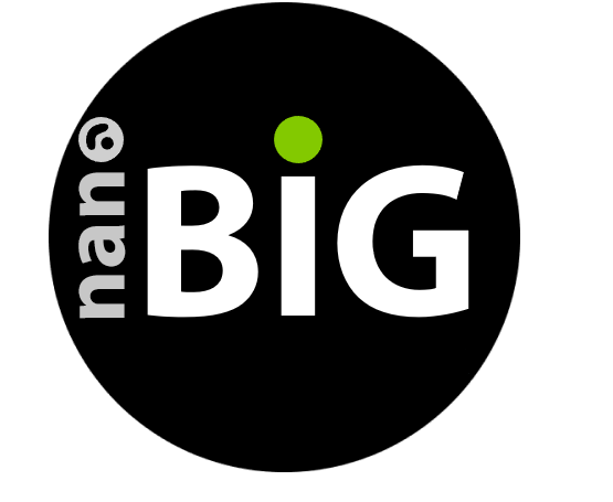 nanoBig logo
