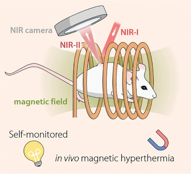 nanoBig research scientific group publication