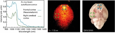 nanoBig research scientific group publication