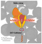 nanoBig research scientific group publication