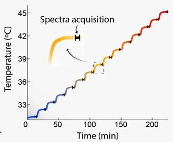 nanoBig paper