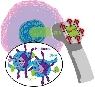 nanoBig paper