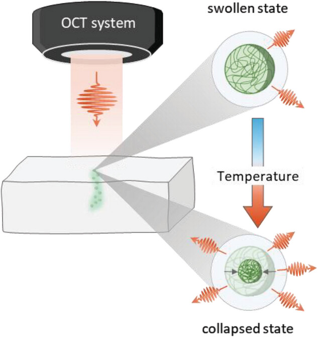 nanoBig paper
