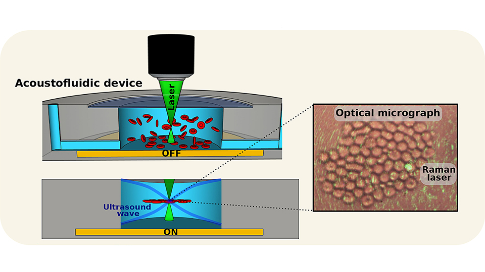 nanoBig paper