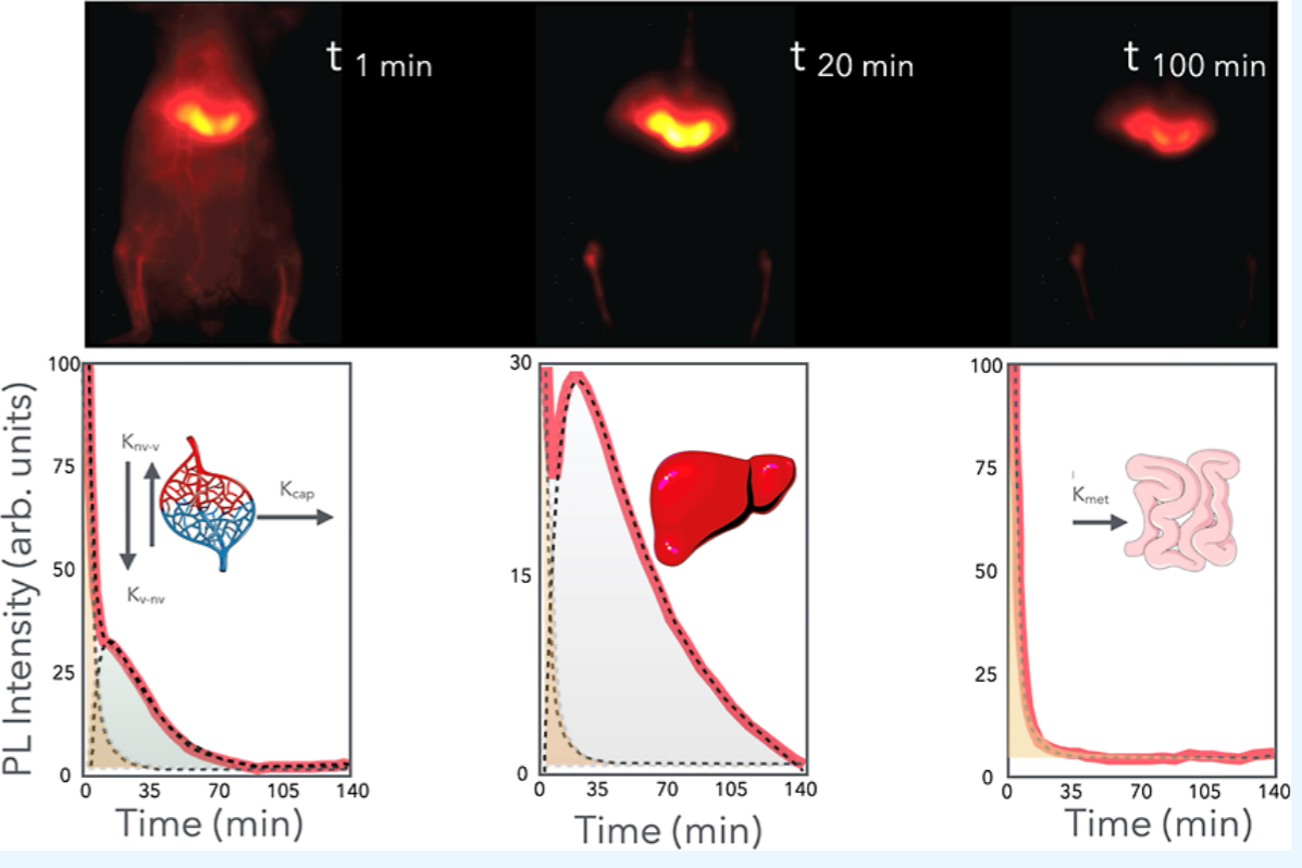nanoBig paper