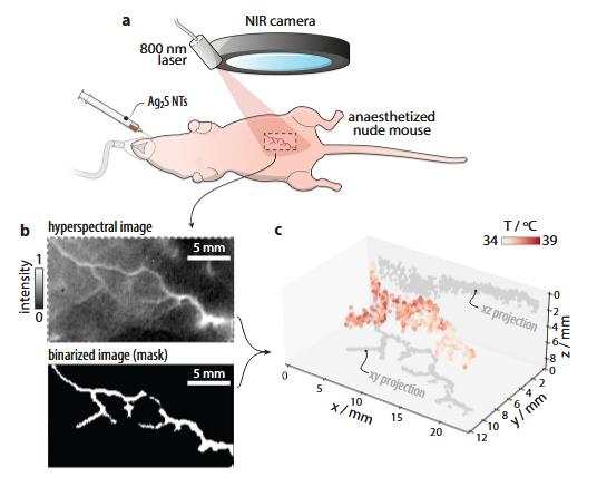 nanoBig paper