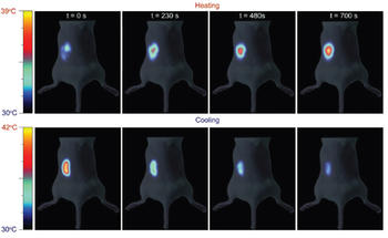scientific image referred to near infrared bioimaging