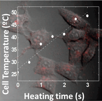 scientific image referred to nanothermometry and hyperthermia